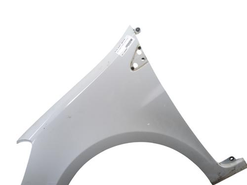 left-front-fenders-renault-clio-iii-br01-cr01-2005-2006-2007-2008-2009-2010-2011-2012-2013-2014-31864761 main image