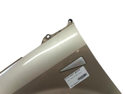 Left front fenders RENAULT SCÉNIC II (JM0/1_) 1.5 dCi (JM1E, JM16) | BP27584208C41 
