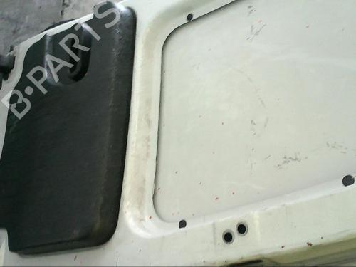 Left rear door OPEL COMBO Box Body/MPV 1.3 CDTI 16V | BP25111013C4 