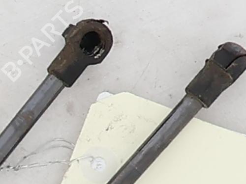 tailgate-lift-support-citroen-c4-cactus-2014-40241412 main image