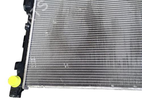 Used Water radiator RENAULT TRAFIC III Van (FG_) 1.6 dCi 125 (FGMH) (125 hp) 29610181