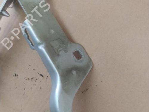 Hinge/Door check strap RENAULT CLIO III (BR0/1, CR0/1) 1.6 16V (BR09, BR0T, CR09, CR0T) | BP25101351C146 