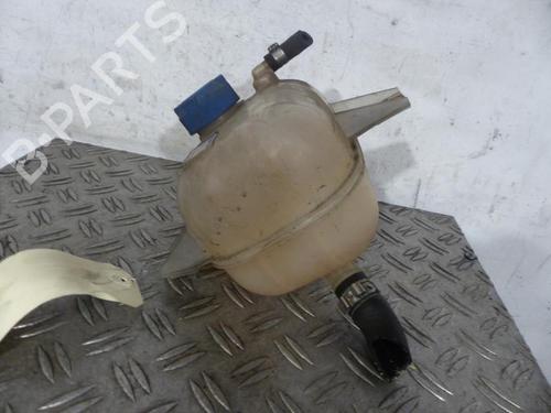 Expansion tank FIAT DOBLO Cargo (263_) 1.3 D Multijet | BP25065066C120 