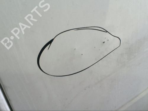 Left rear door OPEL COMBO Box Body/MPV 1.3 CDTI 16V | BP25111013C4 
