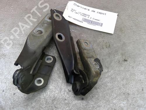 Hinge/Door check strap AUDI A3 (8P1) 2.0 TDI | BP25067975C146 