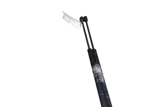 Tailgate lift support RENAULT GRAND SCÉNIC II (JM0/1_) 1.9 dCi (JM14) | BP30148815C138 