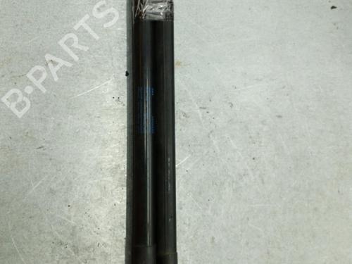 Tailgate lift support VW POLO V (6R1, 6C1)  | BP25062804C138 