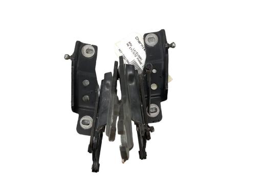 Hinge/Door check strap BMW X6 (E71, E72) xDrive 40 d | BP25076441C146 