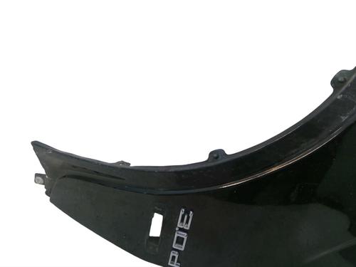 Left front fenders BMW X5 (E53) 3.0 d | BP25110336C41 