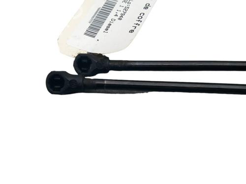 tailgate-lift-support-renault-modus-grand-modus-fjp0_-2004-25053899 main image