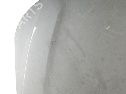 Hood CITROËN C-ELYSEE (DD_) 1.6 BlueHDi 100 | BP25087197C1 