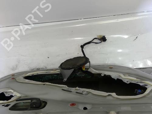 Left front door FIAT DOBLO Box Body/MPV (223_) 1.3 D Multijet | BP25089201C2 