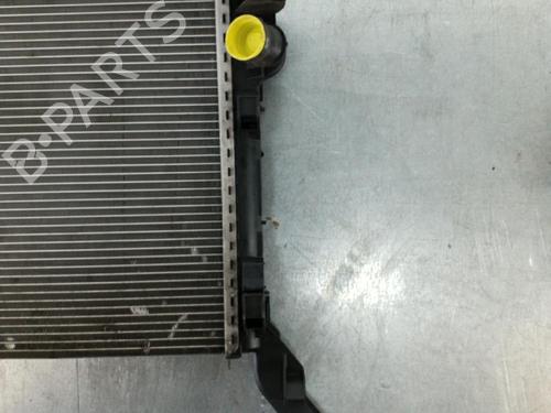 Used Water radiator Water radiator RENAULT LAGUNA III (BT0/1) 2.0 dCi (BT01, BT08, BT09, BT0E, BT0K, BT12, BT1C, BT1D,... (150 hp) 25089263 25089263