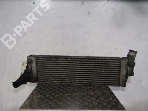 Used Intercooler Intercooler RENAULT MEGANE II Saloon (LM0/1_) [2003-2026] 10591871 10591871