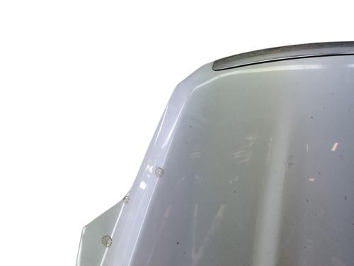Used Hood FORD KUGA I 2.0 TDCi (140 hp) 28580169