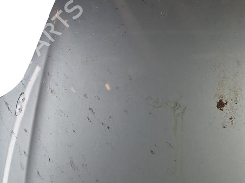 Used Hood FIAT GRANDE PUNTO (199_) [2005-2025]  25098959