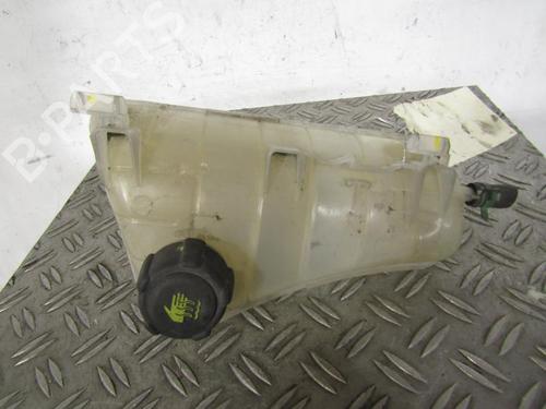 Used Expansion tank RENAULT KANGOO Express (FW0/1_) 1.5 dCi 70 (FW0A, KW0V) (68 hp) 25080380