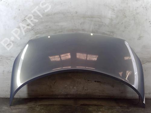 Hood RENAULT SCÉNIC II (JM0/1_) 1.9 dCi | BP25082754C1 