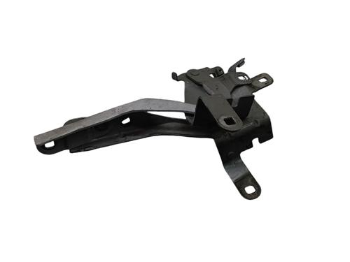 Used Hinge/Door check strap RENAULT CLIO IV (BH_) 1.5 dCi 75 (75 hp) 25072347