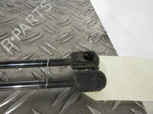 Tailgate lift support DACIA DUSTER (HS_) 1.6 16V | BP25113195C138 
