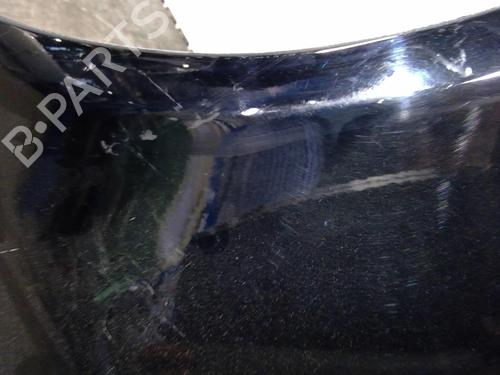 Left front fenders SEAT ALHAMBRA (7V8, 7V9)  | BP25081976C41 