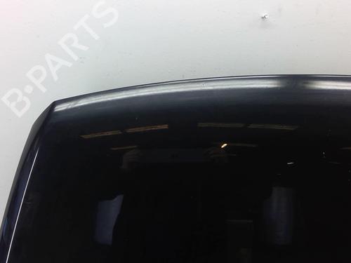 Hood VW TOUAREG (7LA, 7L6, 7L7) 2.5 R5 TDI | BP25078040C1 