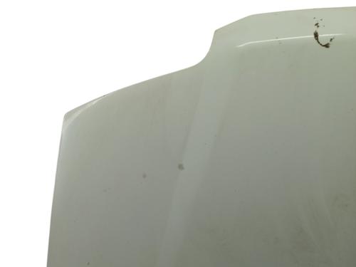 Used Hood FIAT PANDA (169_) 1.1 (169.AXA1A) (54 hp) 31377087