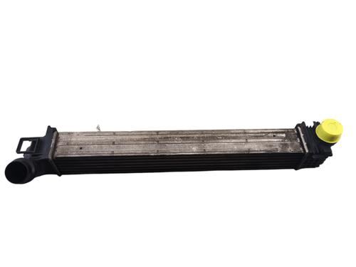 Intercooler RENAULT MEGANE III Hatchback (BZ0/1_, B3_) 1.5 dCi (BZ09, BZ0D, BZ1W, BZ29, BZ14) | BP29431049M30 