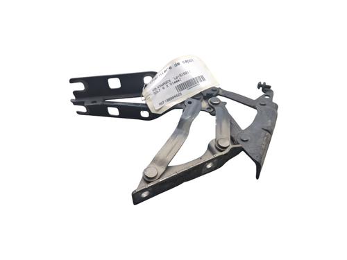 Hinge/Door check strap VW GOLF VI (5K1) 2.0 TDI | BP25072196C146 