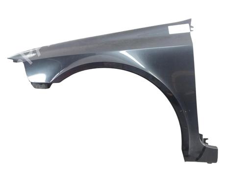 Left front fenders RENAULT LAGUNA II (BG0/1_) 1.9 dCi (BG08, BG0G) | BP25073078C41 