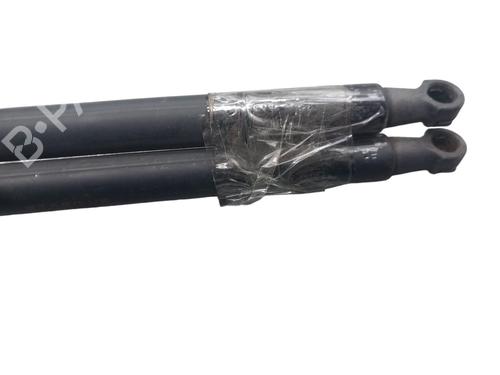 Tailgate lift support NISSAN QASHQAI I (J10, NJ10) 1.5 dCi | BP25058817C138