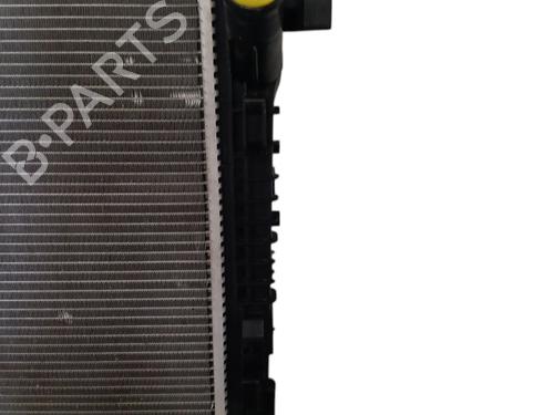 Used Water radiator Water radiator DACIA SANDERO III 1.0 SCe 65 (67 hp) 36205860 36205860