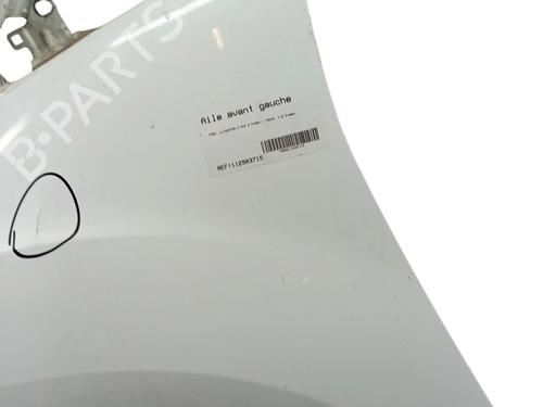 Left front fenders FORD C-MAX II (DXA/CB7, DXA/CEU) 1.6 TDCi | BP29426017C41 