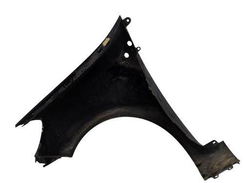 Right front fenders RENAULT CLIO III (BR0/1, CR0/1) 1.5 dCi (BR17, CR17) | BP29508360C42 