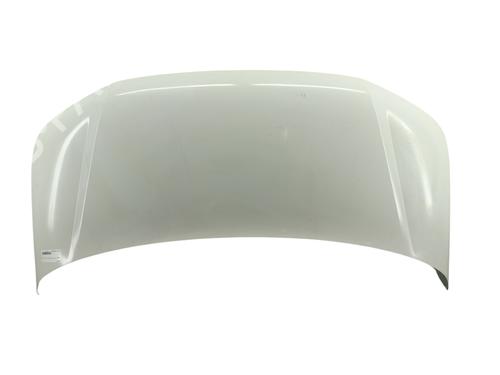 Hood VW TRANSPORTER T5 Bus (7HB, 7HJ, 7EB, 7EJ) 2.0 TDI 4motion | BP31074812C1 