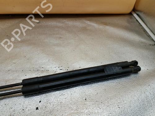 Used Tailgate lift support CITROËN C3 II (SC_) 1.6 HDi (92 hp) 25089637