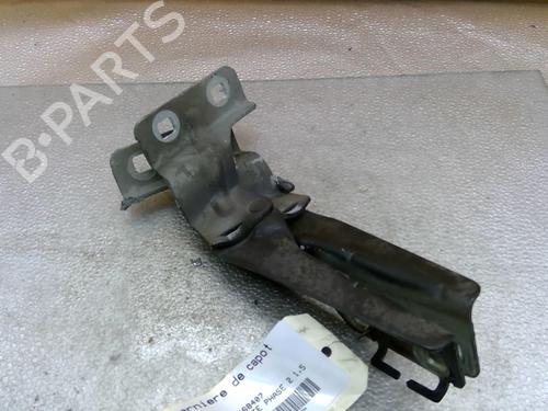 Used Hinge/Door check strap RENAULT MEGANE II Estate (KM0/1_) [2003-2012]  25081962