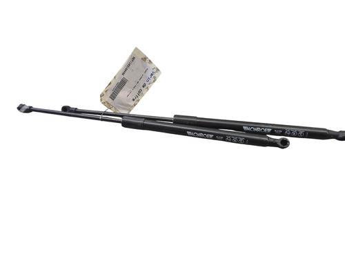 Tailgate lift support PEUGEOT 208 I (CA_, CC_) 1.6 BlueHDi 100 | BP25102057C138