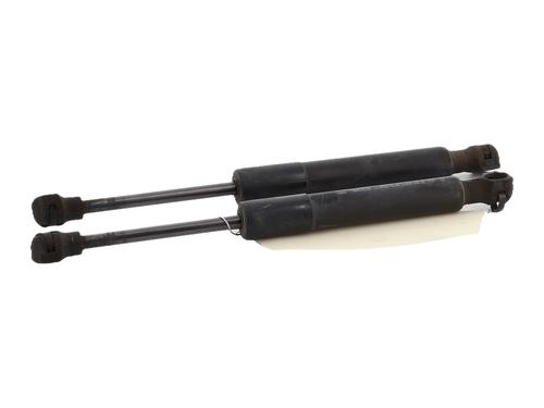 hood-lift-support-renault-zoe-bfm_-2012-37749034 main image