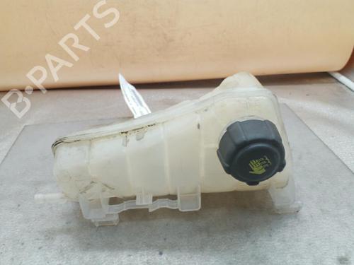 Used Expansion tank RENAULT KANGOO / GRAND KANGOO II (KW0/1_) 1.5 dCi 110 (KW06, KW12) (110 hp) 25089817