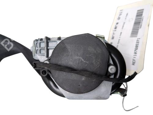 Used Rear right belt tensioner RENAULT MEGANE III Hatchback (BZ0/1_, B3_) 1.5 dCi (BZ09, BZ0D, BZ1W, BZ29, BZ14) (110 hp) 26938281