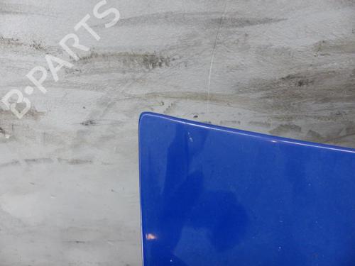 Hood FIAT DUCATO Van (250_) 120 Multijet 2,3 D | BP25065463C1 