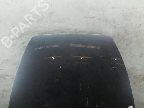 Hood VOLVO S40 II (544) 2.0 D | BP25081774C1