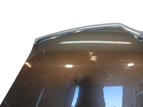 Hood CITROËN C4 Grand Picasso I (UA_) 2.0 HDi 150 | BP29025861C1