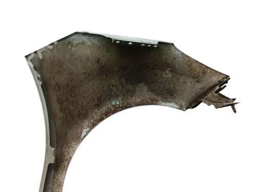 Left front fenders CITROËN C3 II (SC_) 1.4 HDi 70 (SC8HZC, SC8HR0, SC8HP4) | BP29175595C41 