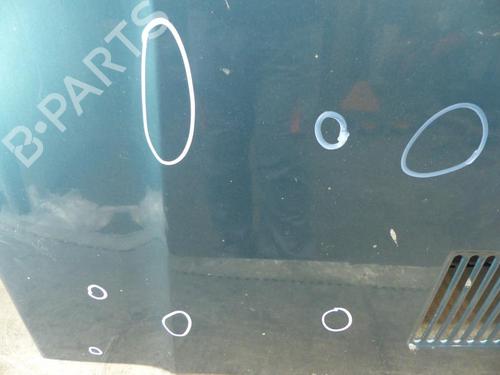 Hood FIAT PANDA (141_) 1000 i.e. Cat | BP25065489C1 