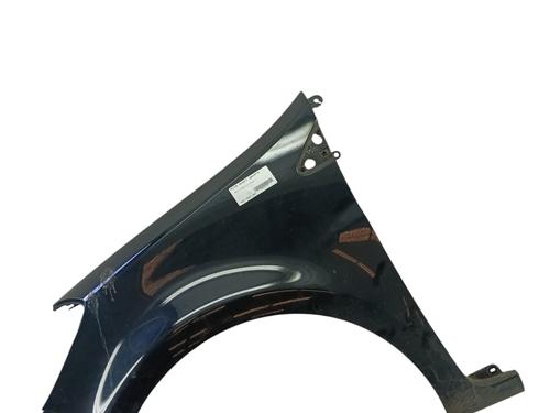 Left front fenders RENAULT CLIO III (BR0/1, CR0/1) 1.2 16V | BP26388338C41 