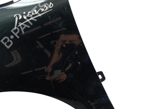 Left front fenders CITROËN C4 Picasso I MPV (UD_) 2.0 i 16V | BP30181331C41