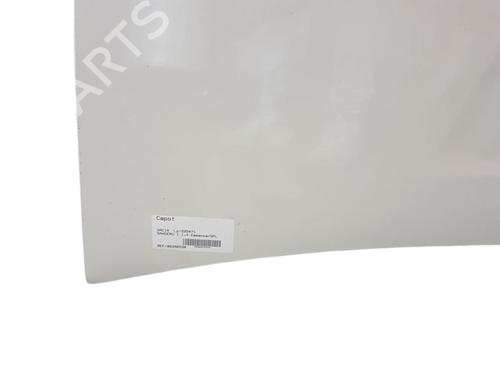 hood-dacia-sandero-2008-25099606 main image