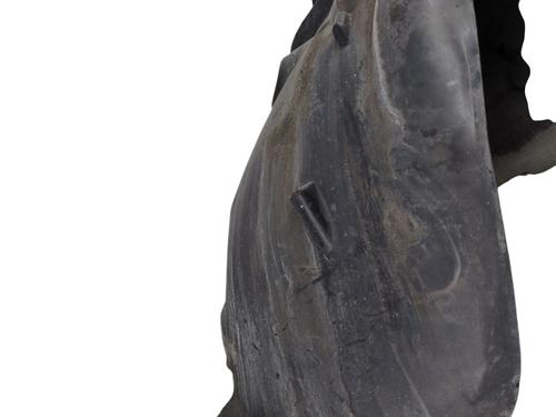 Wheel arch RENAULT CLIO III (BR0/1, CR0/1) 1.5 dCi (C/BR0G, C/BR1G) | BP29189261C56 